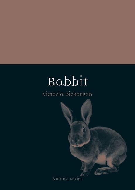 Cover: 9781780231815 | Rabbit | Victoria Dickenson | Taschenbuch | Animal Series | Englisch