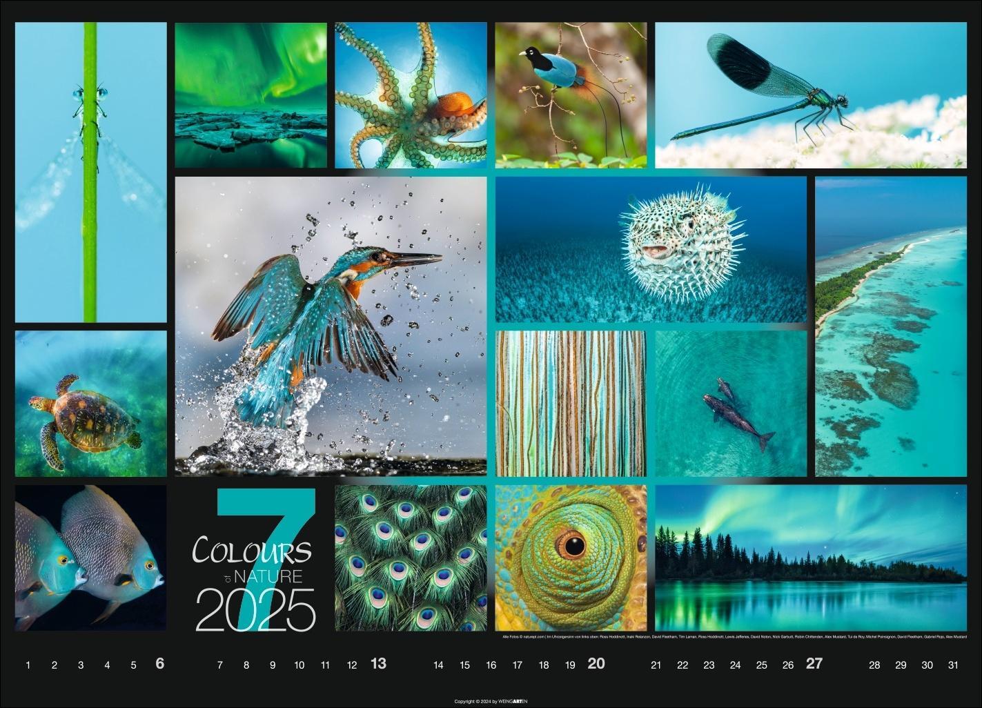 Bild: 9783839900888 | Colours of Nature Kalender 2025 | Kalender | Spiralbindung | 14 S.