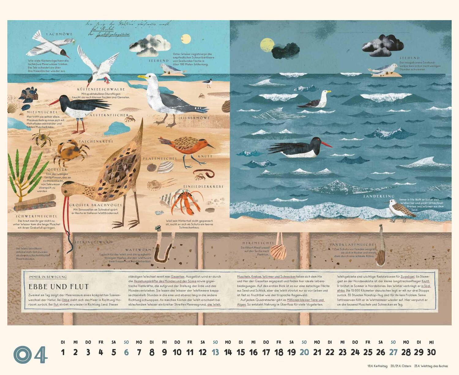 Bild: 4250809653563 | Martin Haake: Am Meer 2025 - Wimmelbilder - DUMONT Kinder-Kalender...