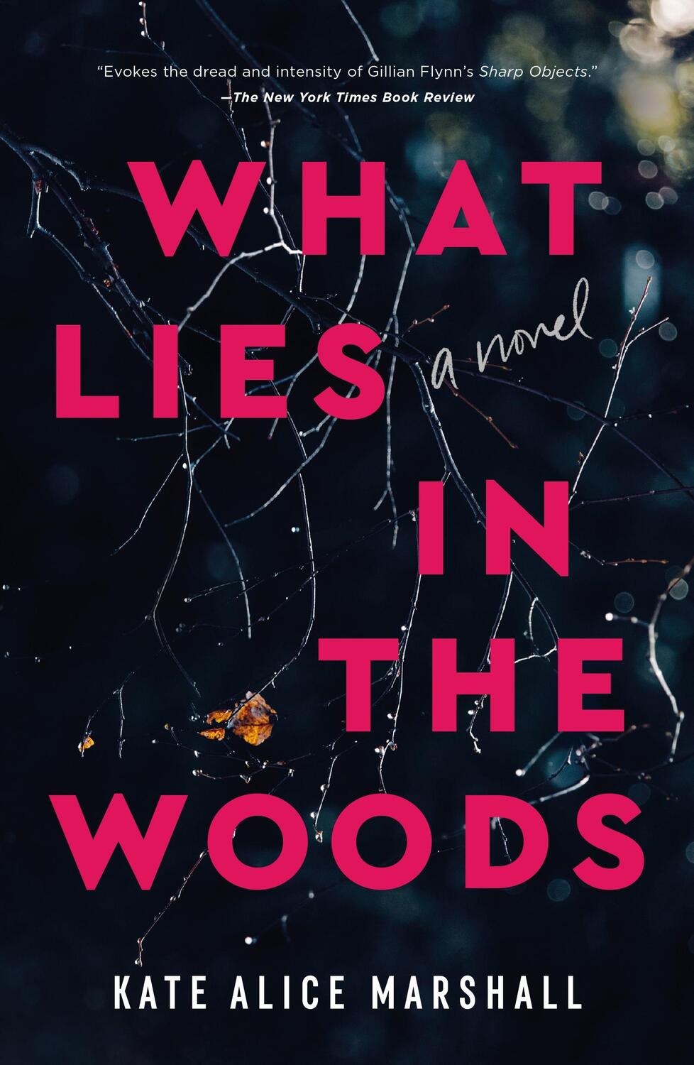 Cover: 9781250859891 | What Lies in the Woods | Kate Alice Marshall | Taschenbuch | Englisch