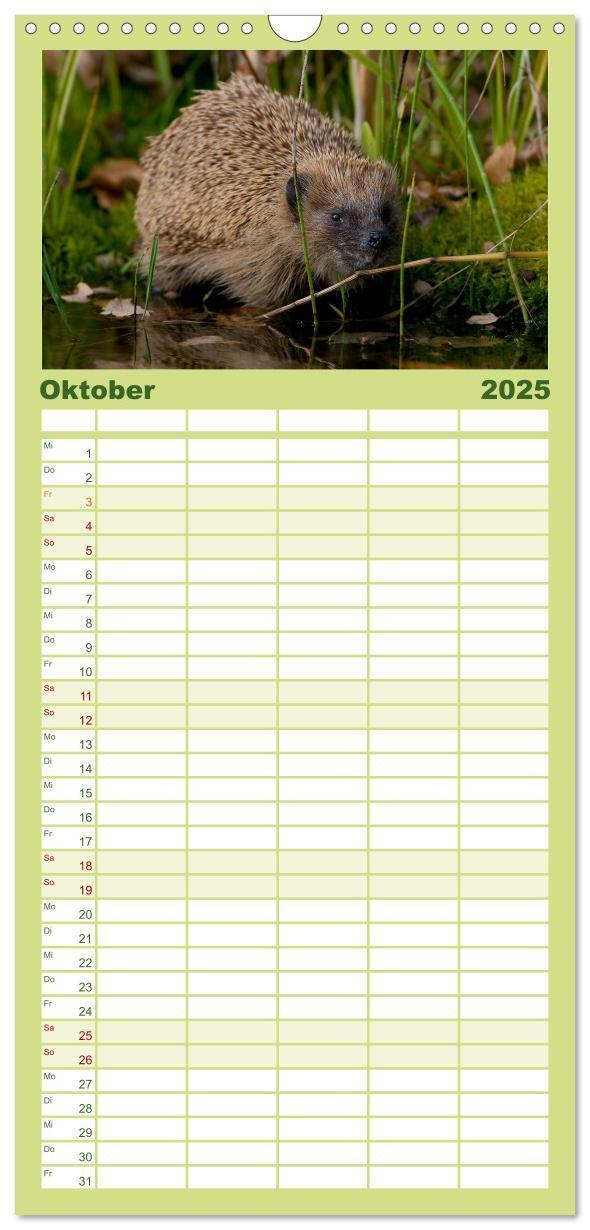 Bild: 9783457117606 | Familienplaner 2025 - Tiere des Waldes mit 5 Spalten (Wandkalender,...