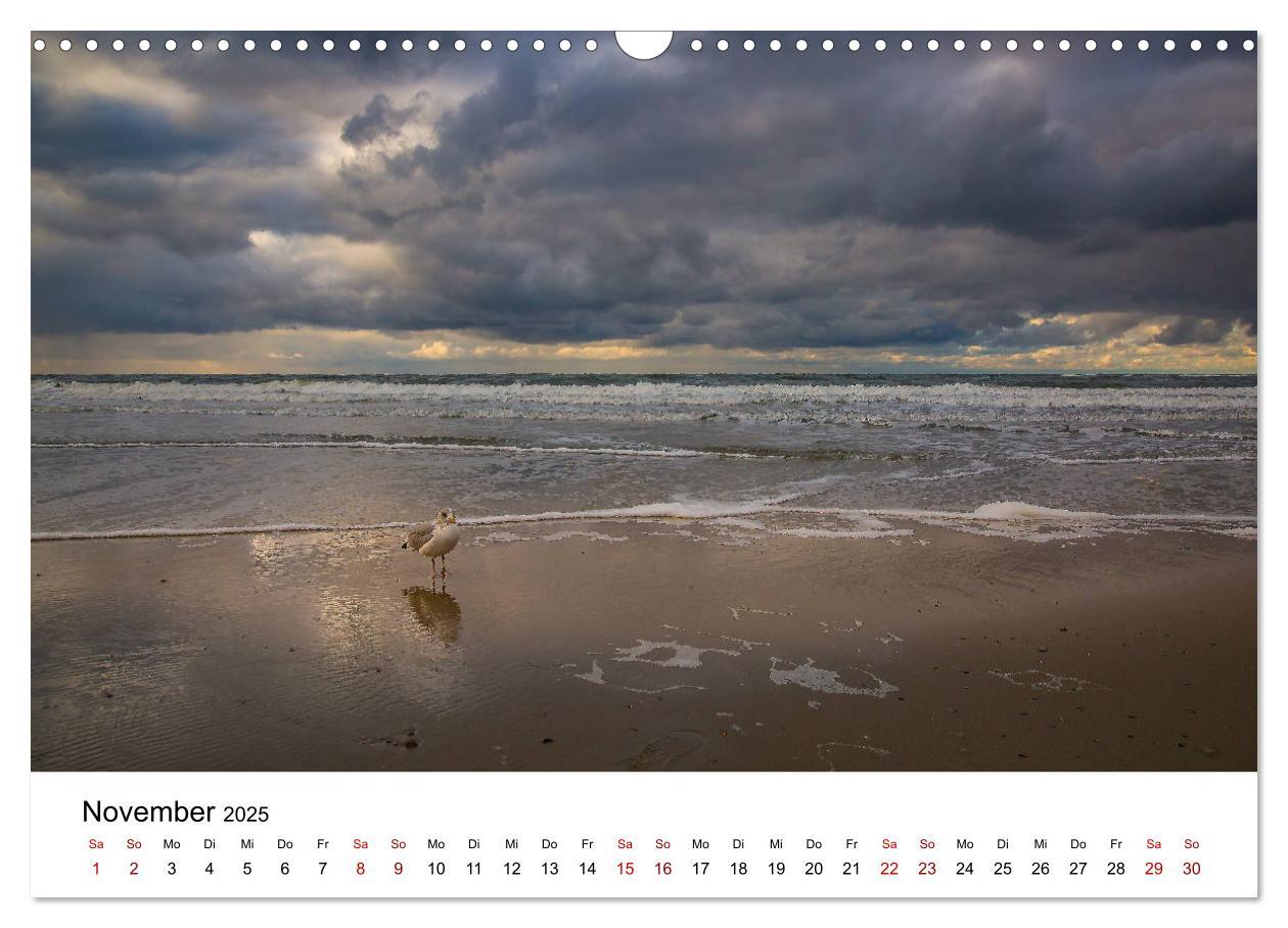 Bild: 9783435403998 | Langeoog ¿ Ein Herbst auf der Insel des Lebens (Wandkalender 2025...