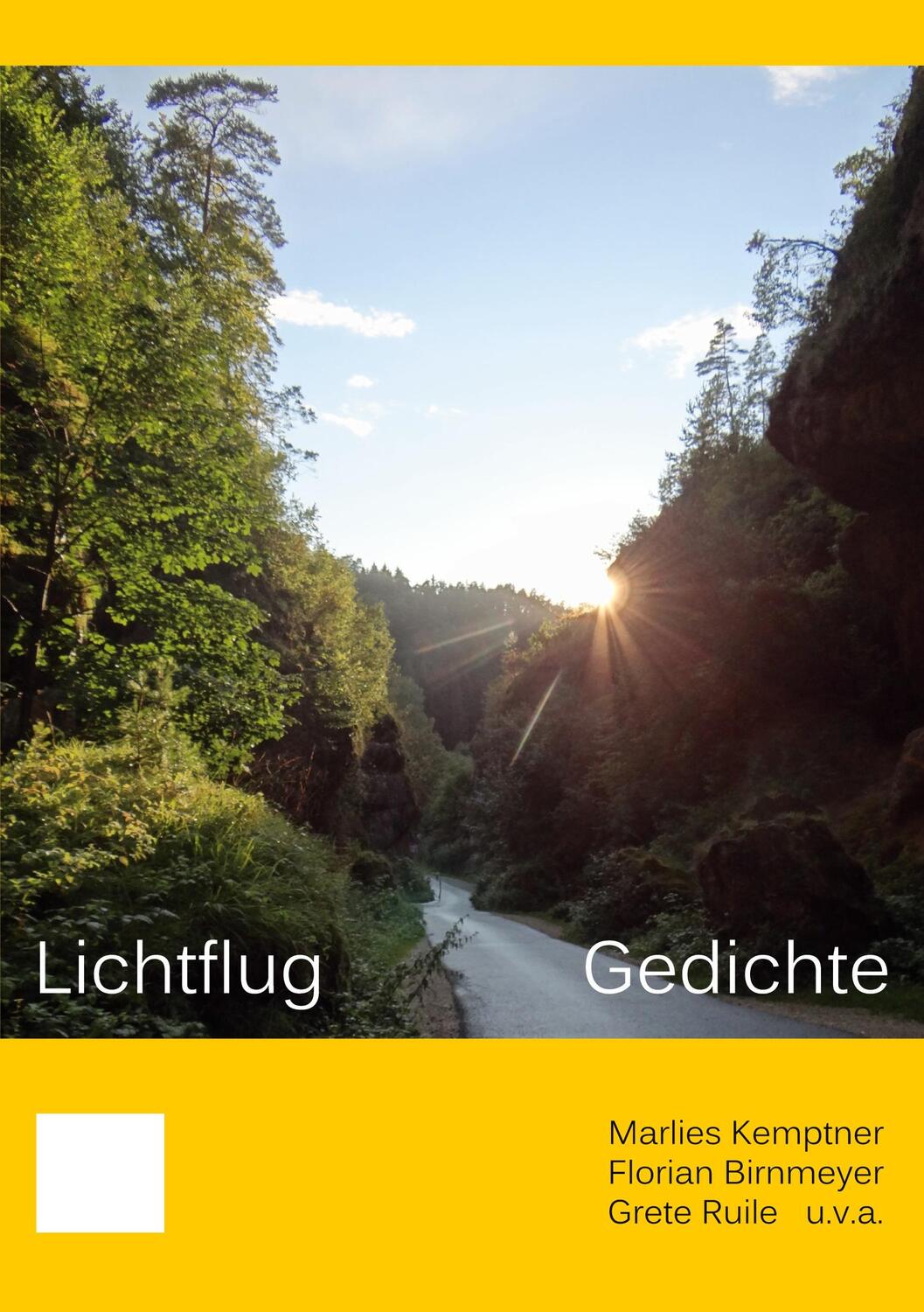 Cover: 9783758329890 | Lichtflug | Gedichte | Marlies Kemptner (u. a.) | Taschenbuch | 180 S.