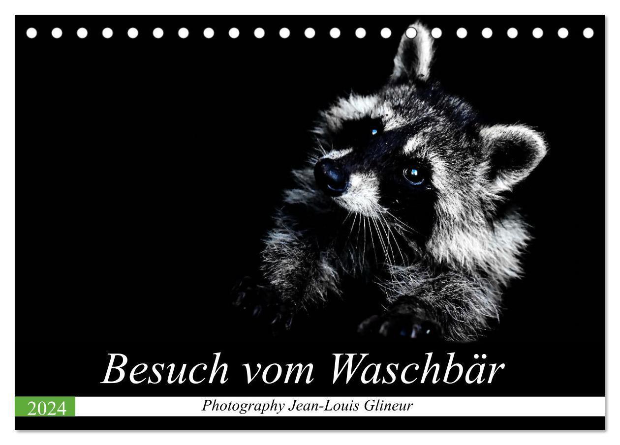 Cover: 9783383000867 | Besuch vom Waschbär (Tischkalender 2024 DIN A5 quer), CALVENDO...