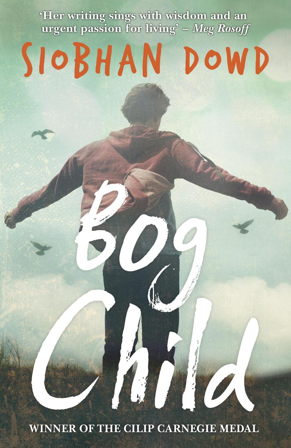 Cover: 9781909531178 | Bog Child | Siobhan Dowd | Taschenbuch | 327 S. | Englisch | 2015