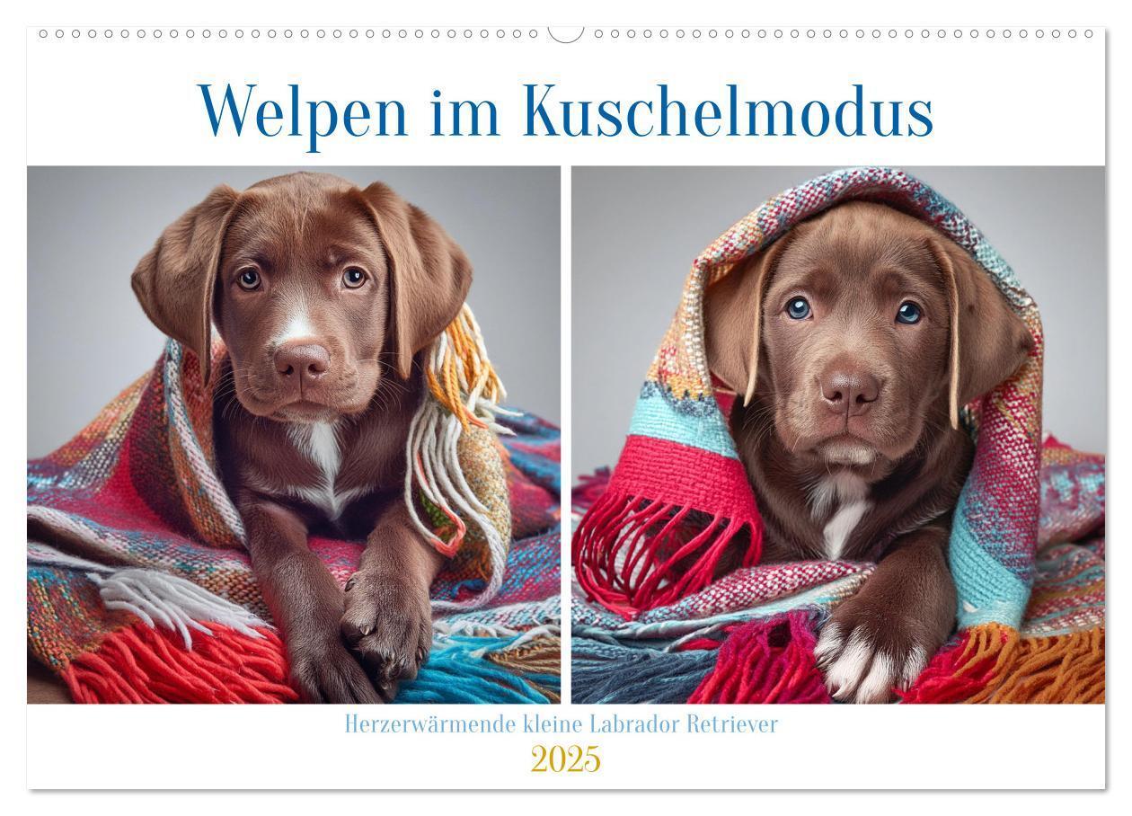 Cover: 9783435742592 | Welpen im Kuschelmodus - Herzerwärmende kleine Labrador Retriever...