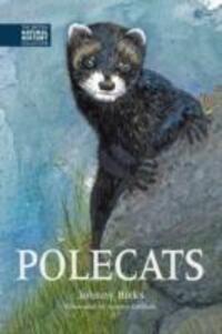 Cover: 9781873580981 | Polecats | Johnny Birks | Buch | 2017 | EAN 9781873580981