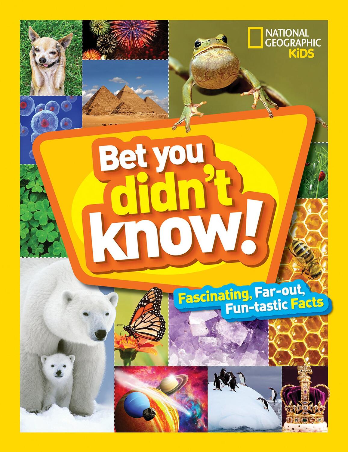 Cover: 9781426328374 | Bet You Didn't Know! | National Geographic Kids | Buch | Gebunden