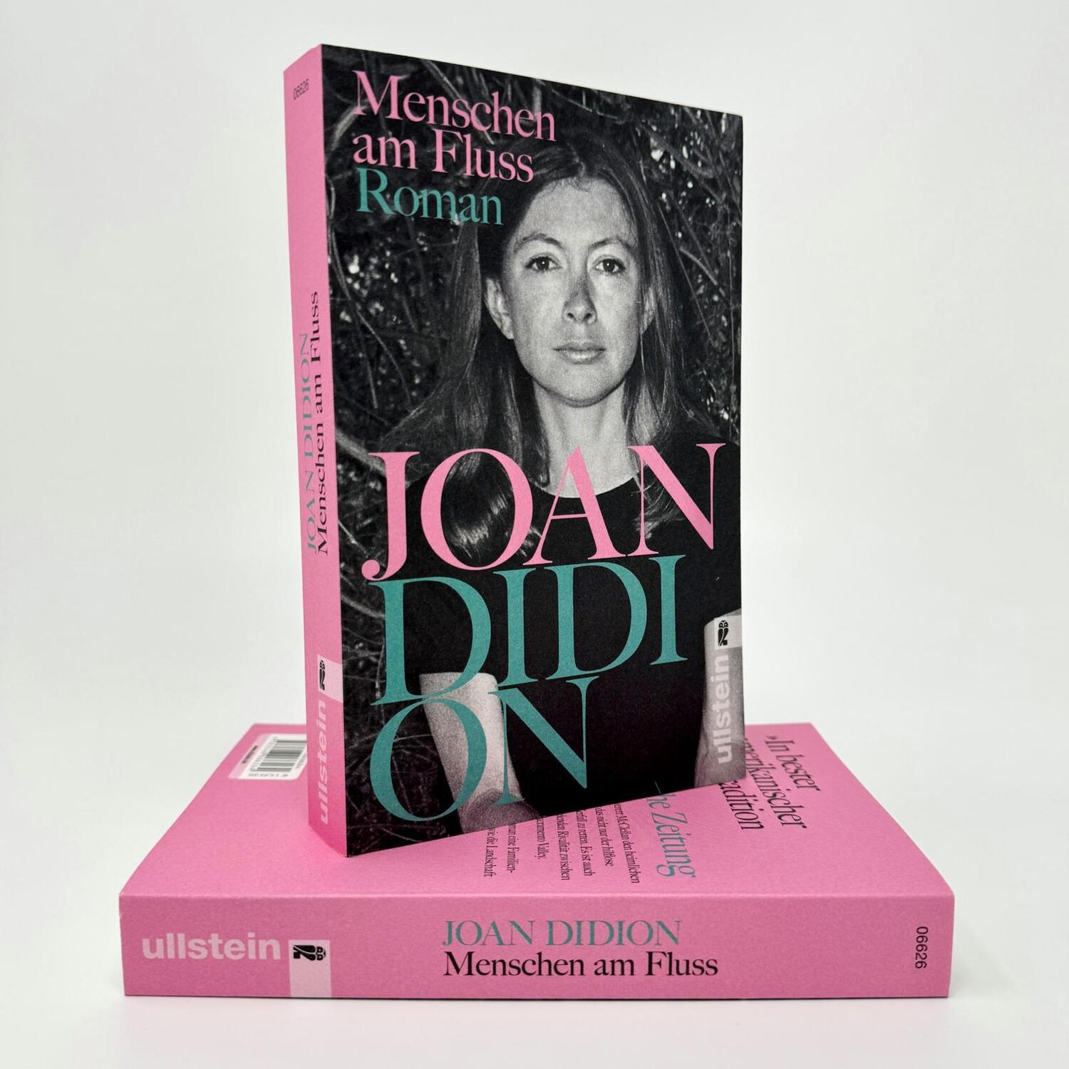 Bild: 9783548066264 | Menschen am Fluss | Joan Didion | Taschenbuch | 336 S. | Deutsch