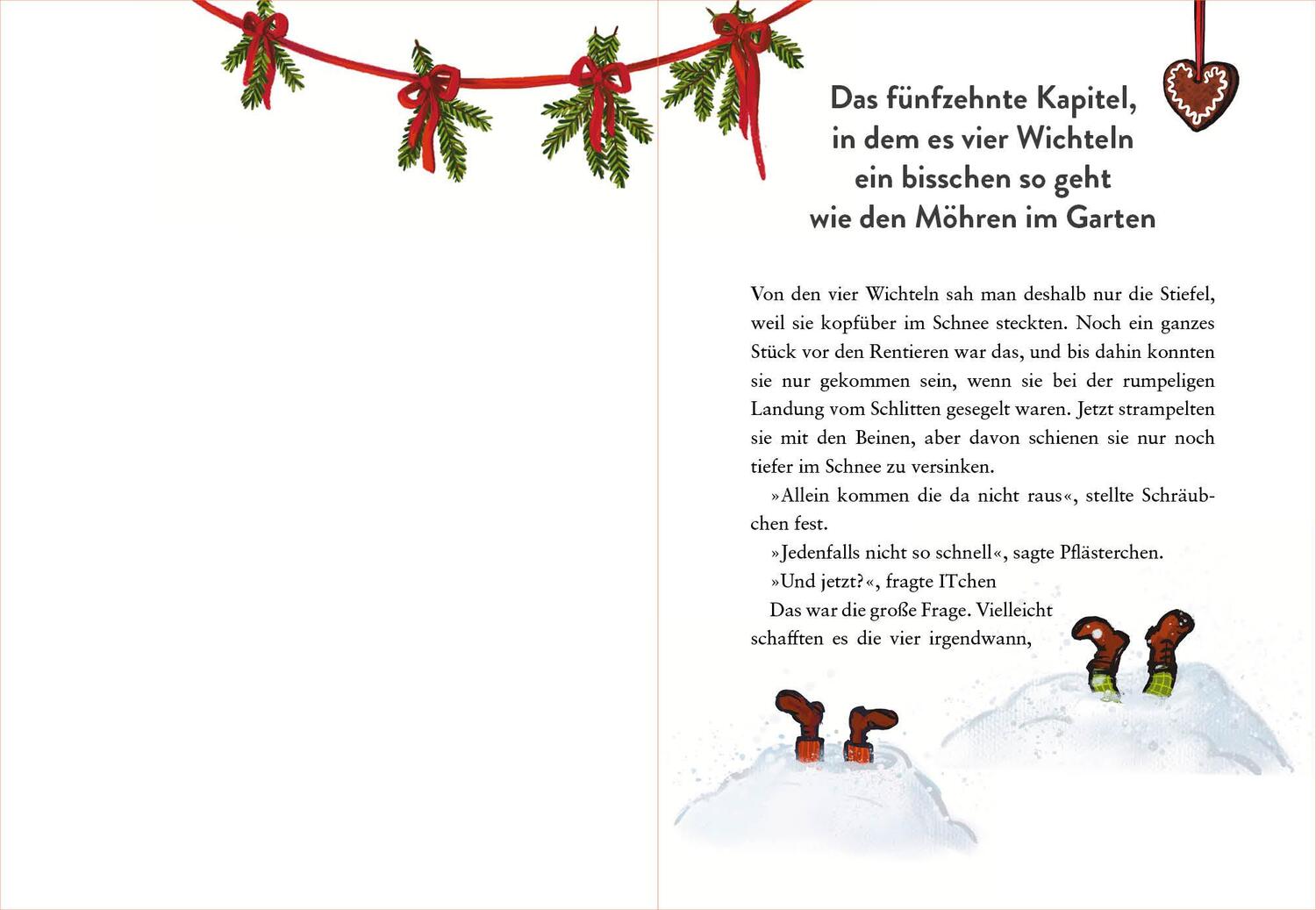 Bild: 9783423641234 | Wie die Wichtelinnen Weihnachten retteten | Friedbert Stohner | Buch