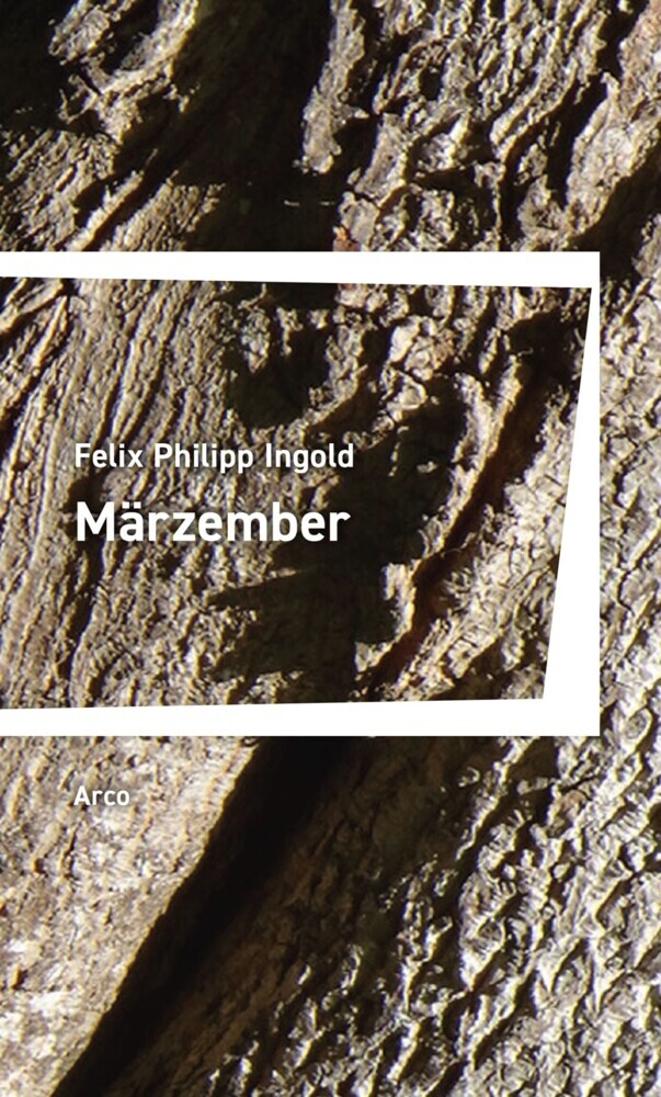 Cover: 9783965870512 | Märzember | Sprüche und Gedichte | Felix Philipp Ingold | Taschenbuch