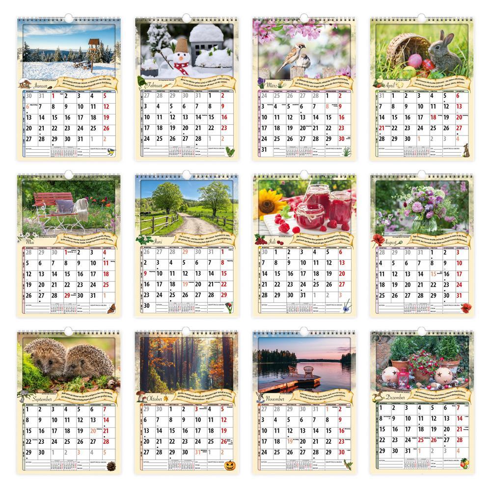 Bild: 9783988022066 | Trötsch Classickalender Rentnerkalender 2025 | Wandkalender | KG