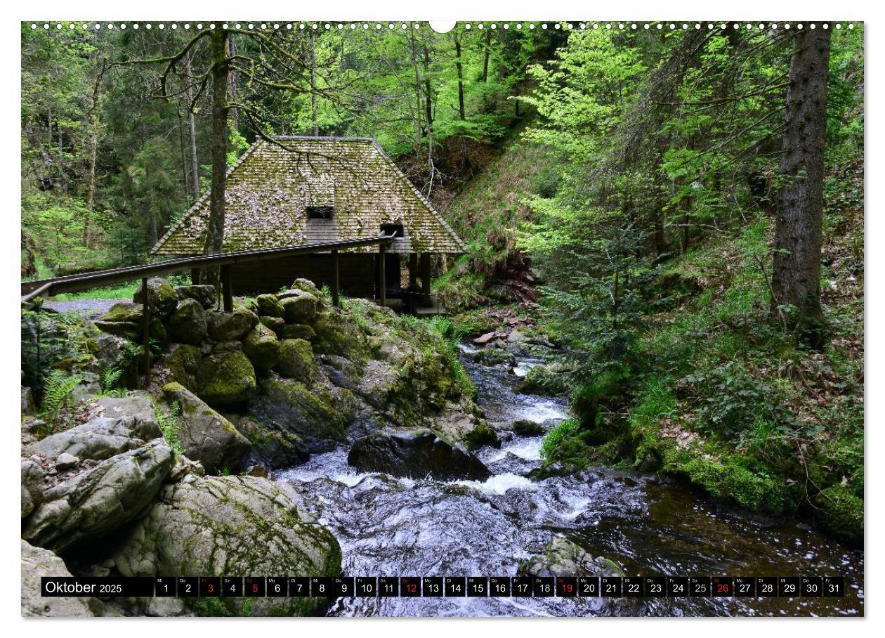 Bild: 9783435675401 | Romantischer Schwarzwald (Wandkalender 2025 DIN A2 quer), CALVENDO...