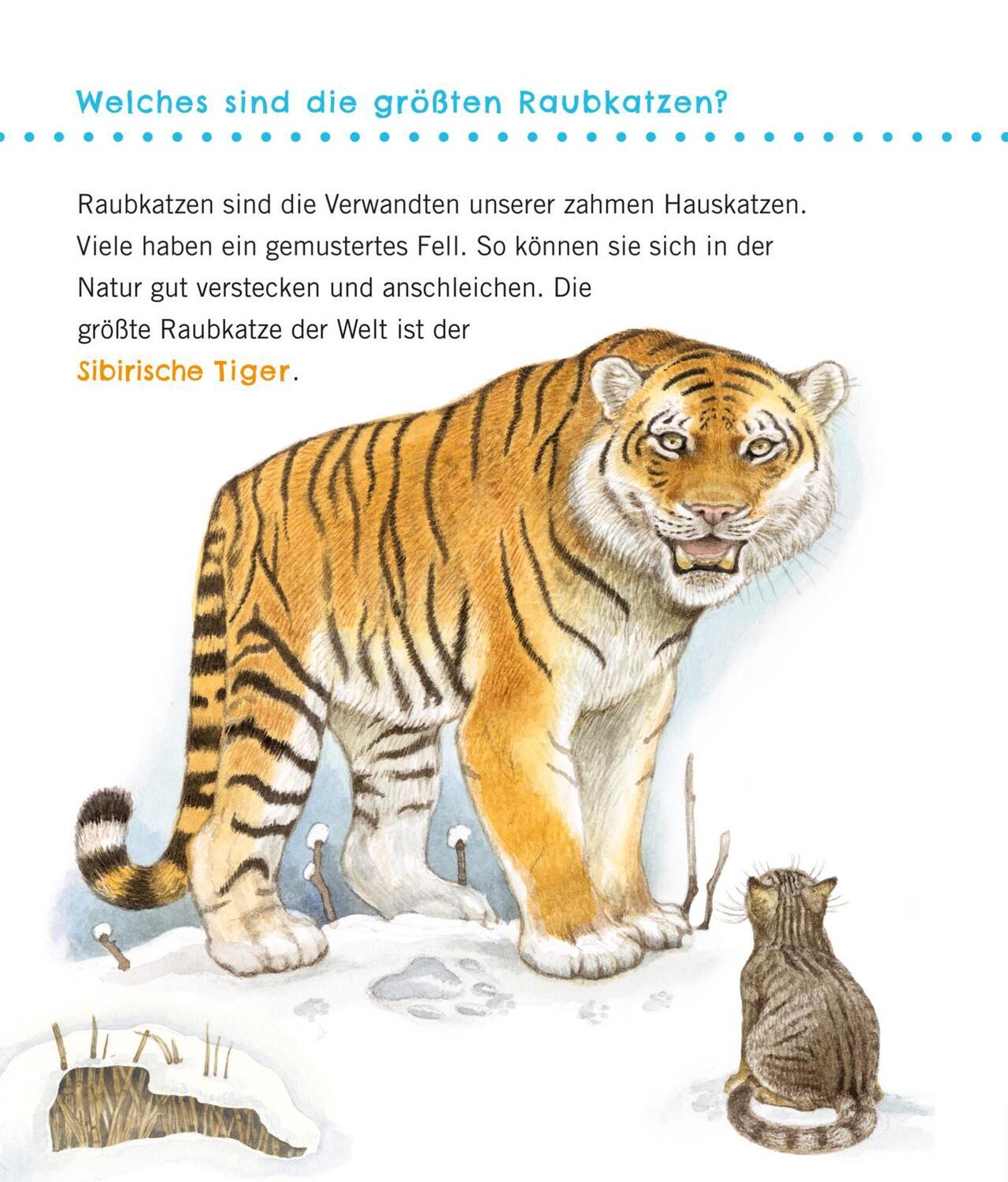 Bild: 9783551036100 | Unkaputtbar: Erstes Wissen: Große Tiere | Petra Klose | Taschenbuch