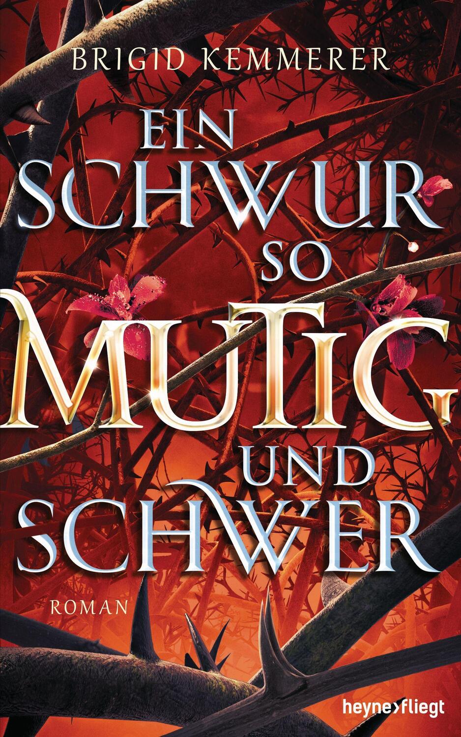Cover: 9783453273221 | Ein Schwur so mutig und schwer | Roman | Brigid Kemmerer | Buch | 2021