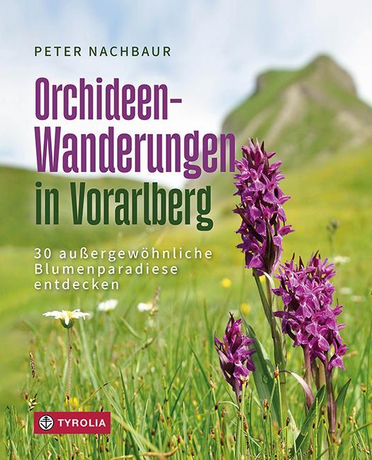 Cover: 9783702241711 | Orchideen-Wanderungen in Vorarlberg | Peter Nachbaur | Taschenbuch