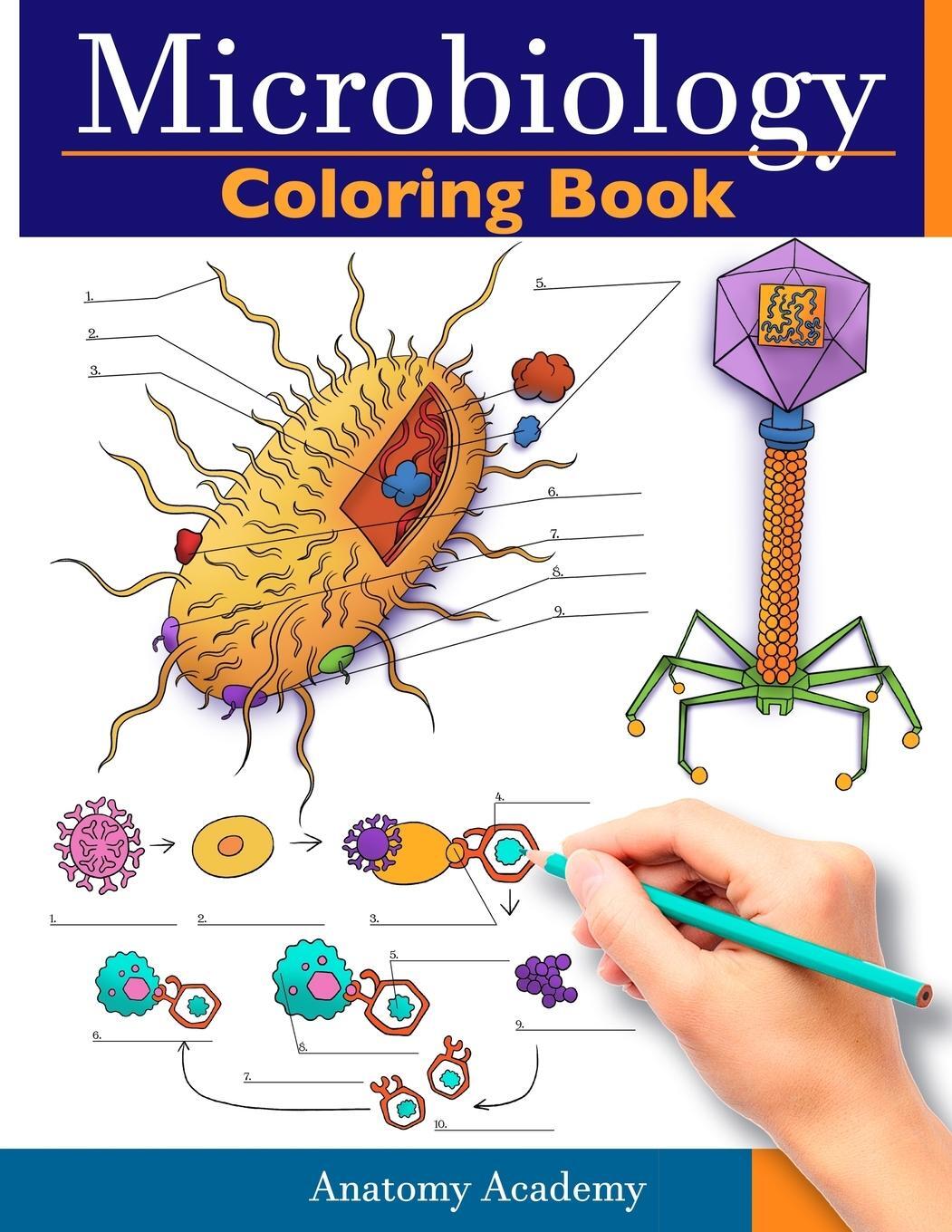 Cover: 9781914207549 | Microbiology Coloring Book | Anatomy Academy | Taschenbuch | Paperback