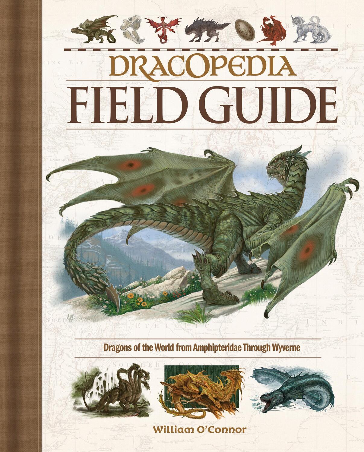 Cover: 9781440353840 | Dracopedia Field Guide | William O'Connor | Buch | Englisch | 2019
