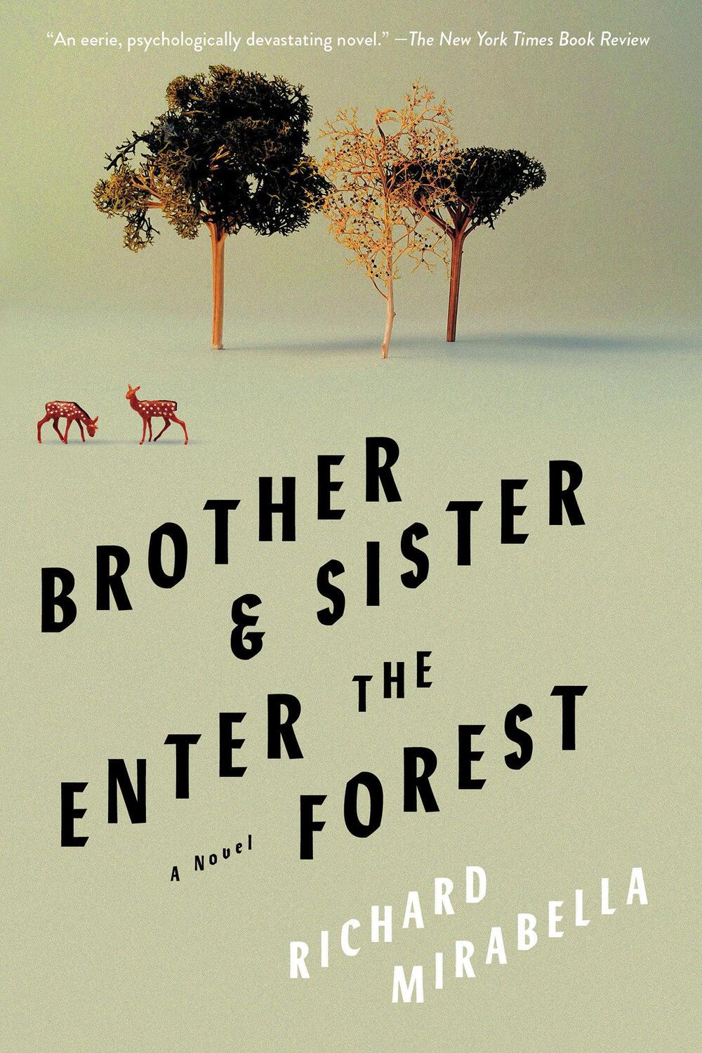 Cover: 9781646222179 | Brother &amp; Sister Enter the Forest | Richard Mirabella | Taschenbuch