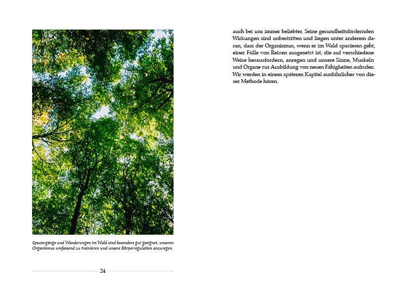 Bild: 9783710402449 | Kerngesund mit der Kraft des Waldes | Maximilian Moser | Buch | 2021