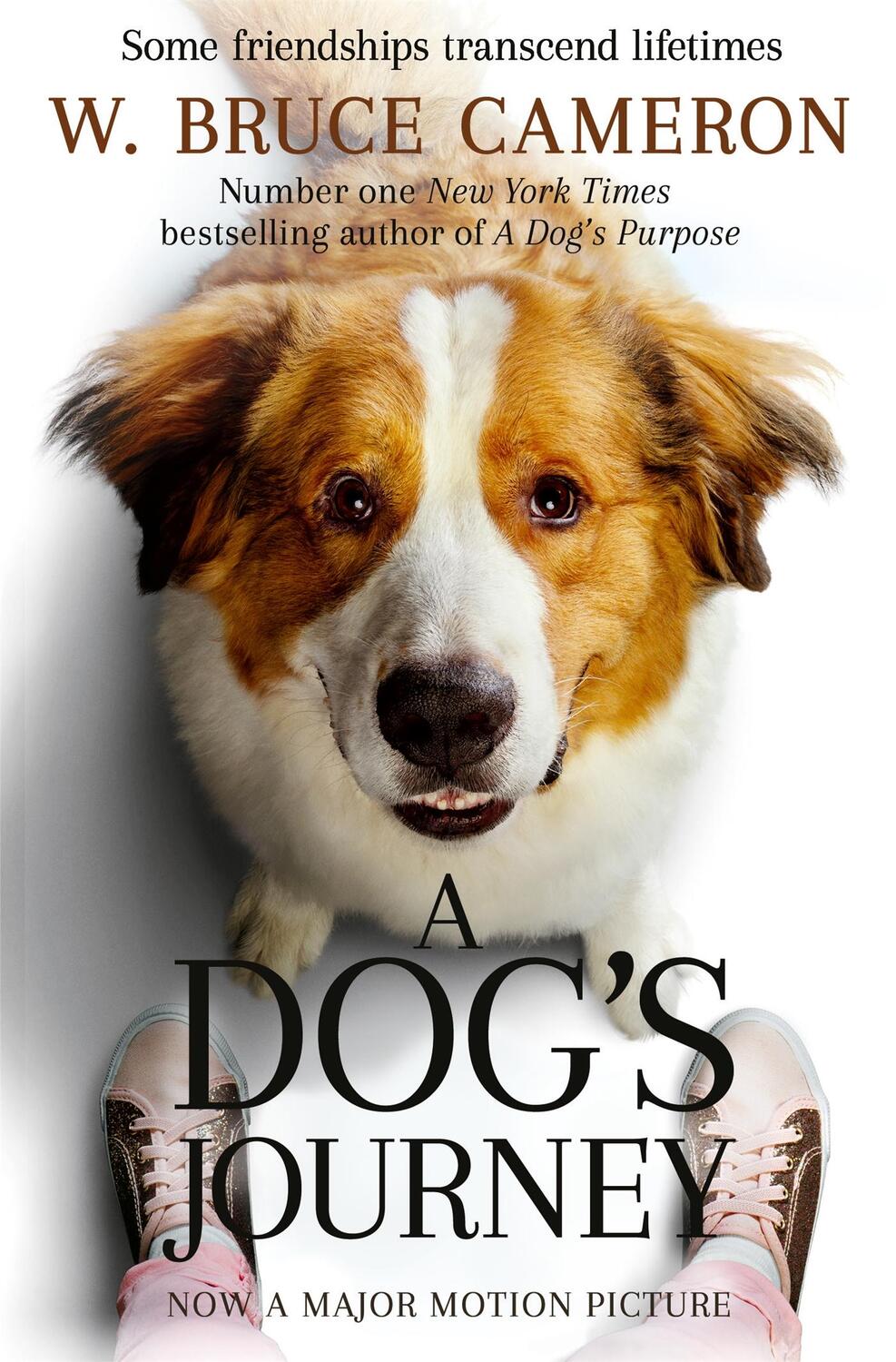 Cover: 9781529013931 | A Dog's Journey | W. Bruce Cameron | Taschenbuch | A Dog's Purpose