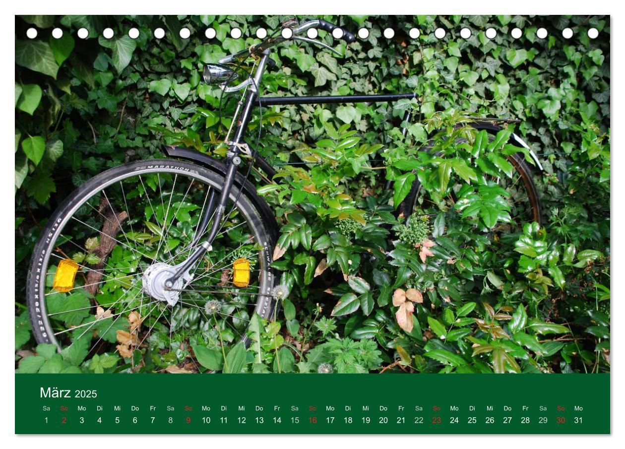 Bild: 9783435669028 | Das Fahrrad 2025 (Tischkalender 2025 DIN A5 quer), CALVENDO...