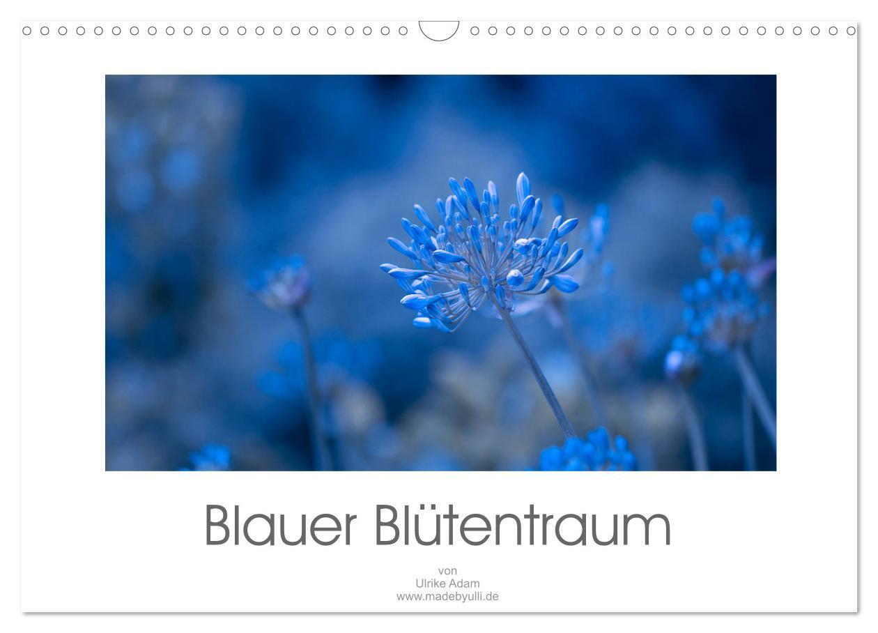 Cover: 9783383075339 | Blauer Blütentraum (Wandkalender 2024 DIN A3 quer), CALVENDO...