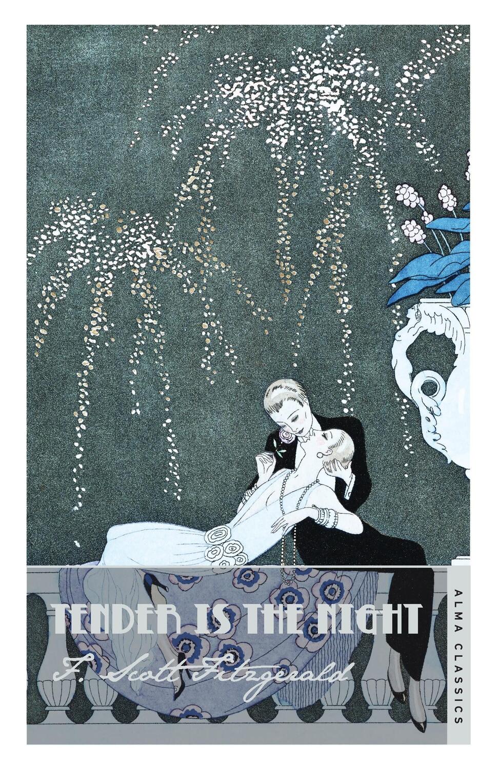Cover: 9781847492593 | Tender is the Night | F. Scott Fitzgerald | Taschenbuch | 320 S.