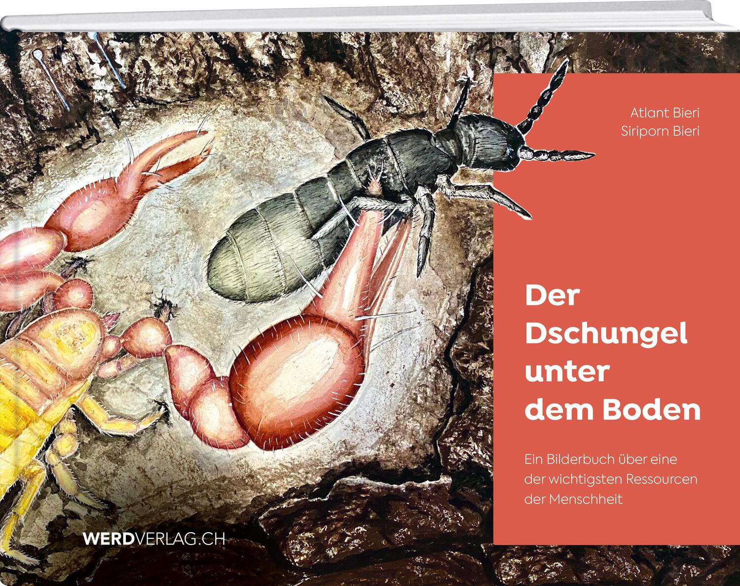 Cover: 9783039221035 | Der Dschungel unter dem Boden | Atlant Bieri (u. a.) | Buch | Deutsch