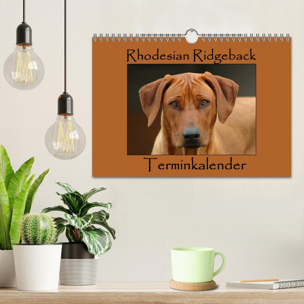 Bild: 9783435455195 | Rhodesian Ridgeback Terminkalender (Wandkalender 2025 DIN A4 quer),...