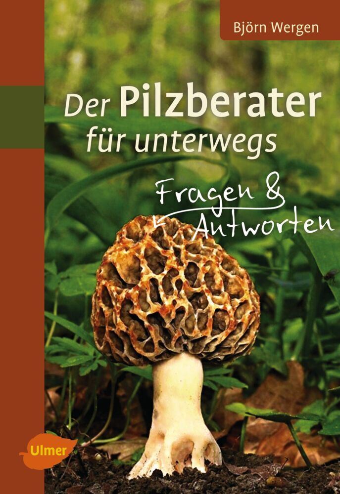 Cover: 9783800179503 | Der Pilzberater für unterwegs | Fragen & Antworten | Björn Wergen