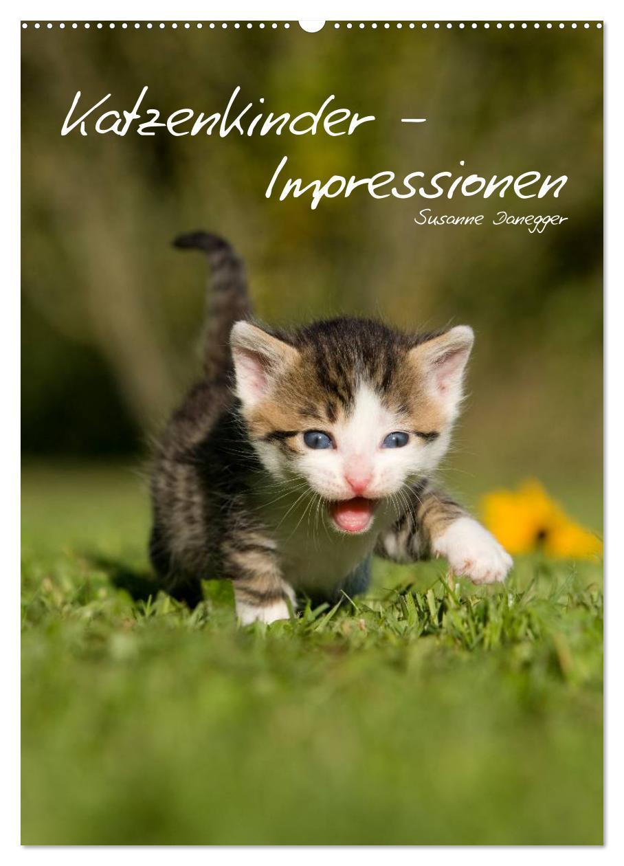 Cover: 9783457086063 | Katzenkinder - Impressionen (Wandkalender 2025 DIN A2 hoch),...