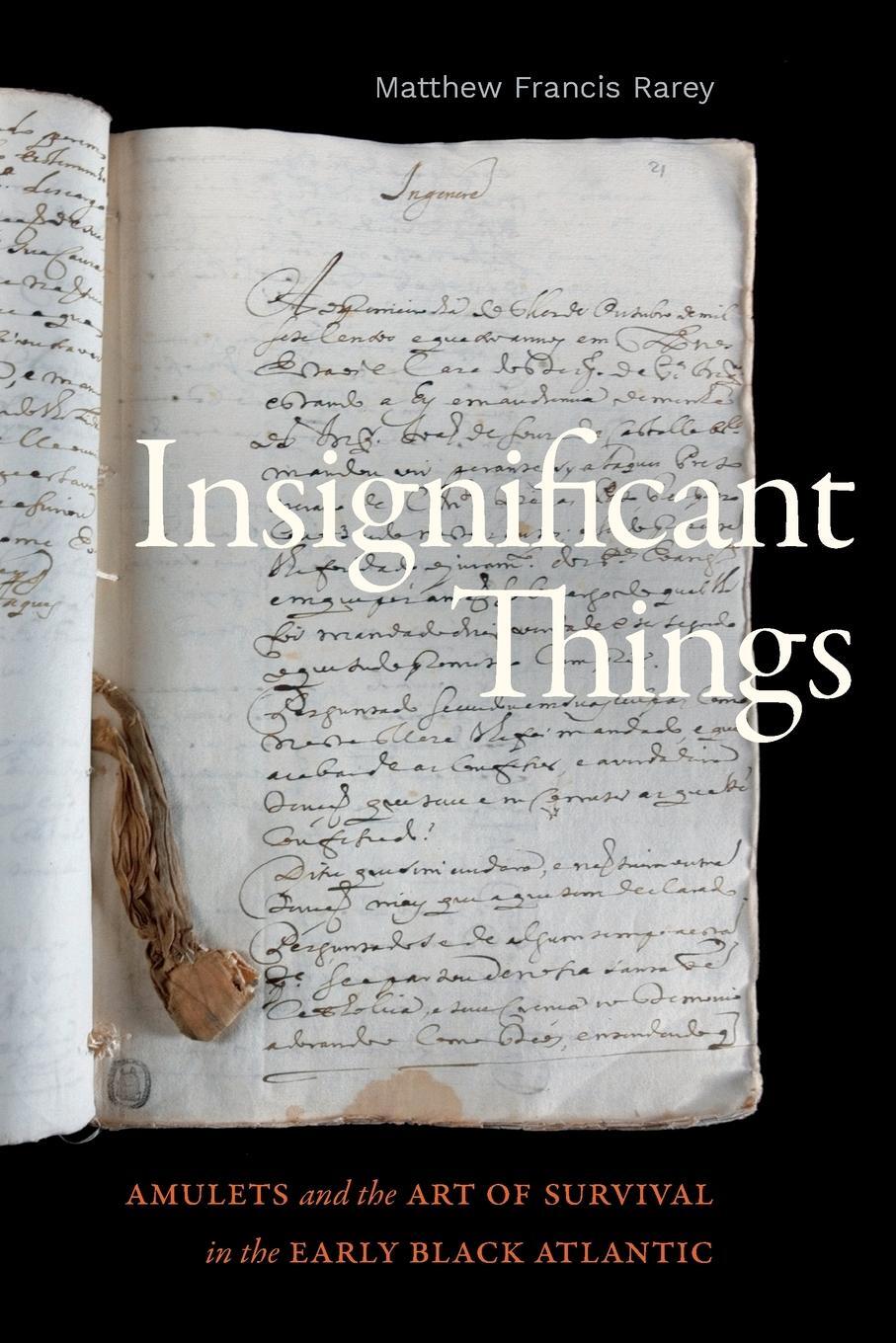 Cover: 9781478019855 | Insignificant Things | Matthew Francis Rarey | Taschenbuch | Paperback