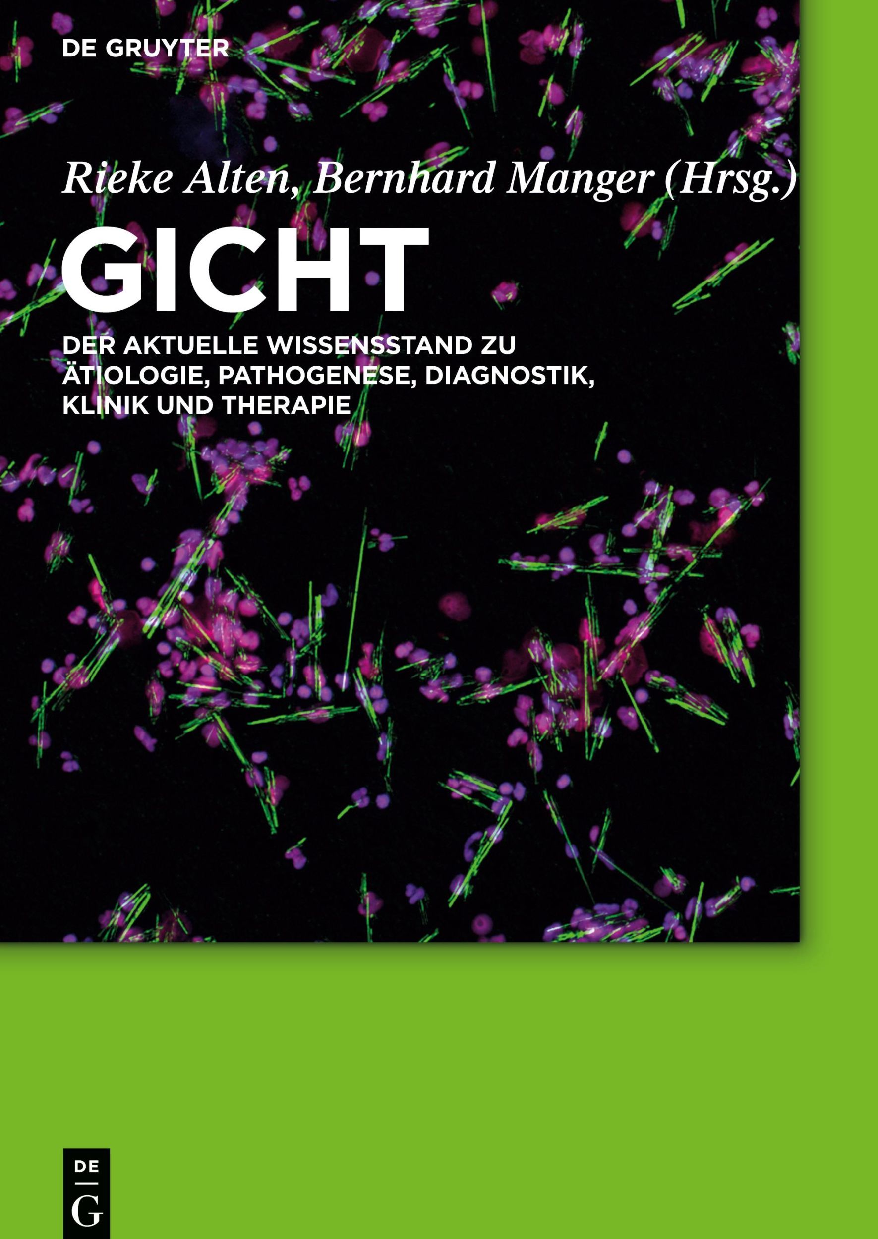 Cover: 9783110451382 | Gicht | Rieke Alten (u. a.) | Buch | XIV | Deutsch | 2016 | De Gruyter