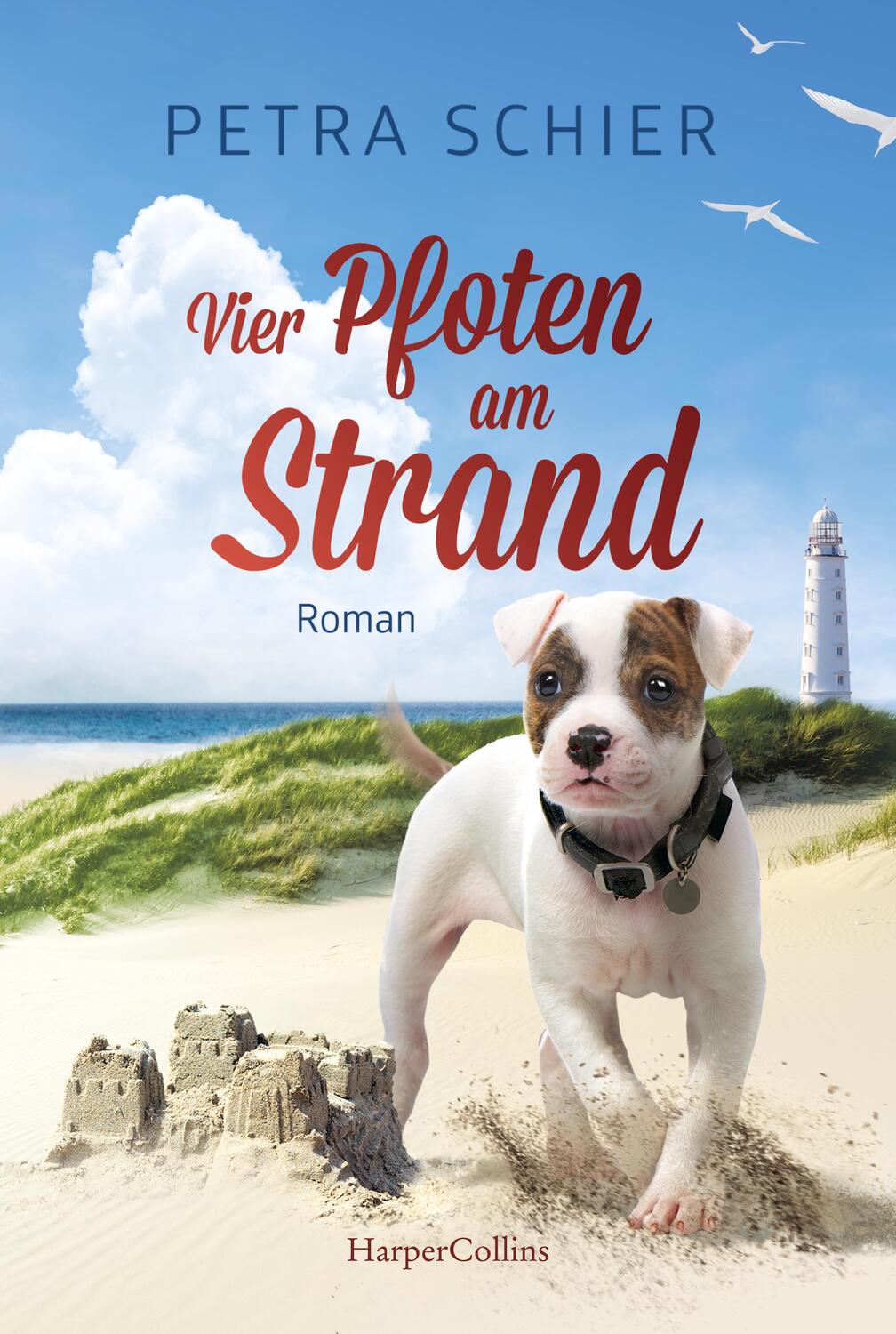 Cover: 9783365005248 | Vier Pfoten am Strand | Petra Schier | Taschenbuch | Lichterhaven