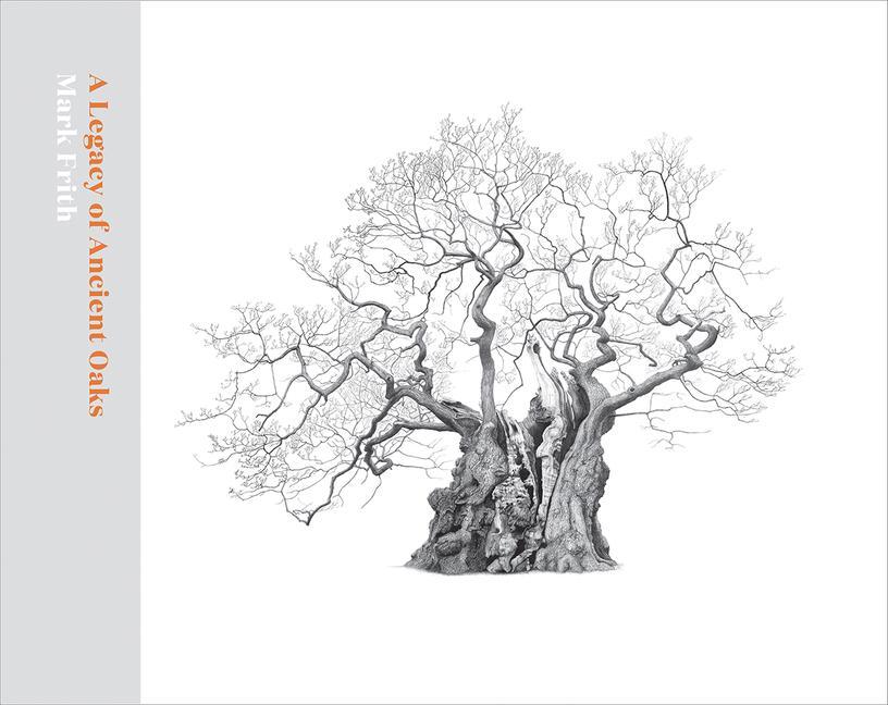 Cover: 9781842466674 | A Legacy of Ancient Oaks | Mark Frith | Buch | Gebunden | Englisch