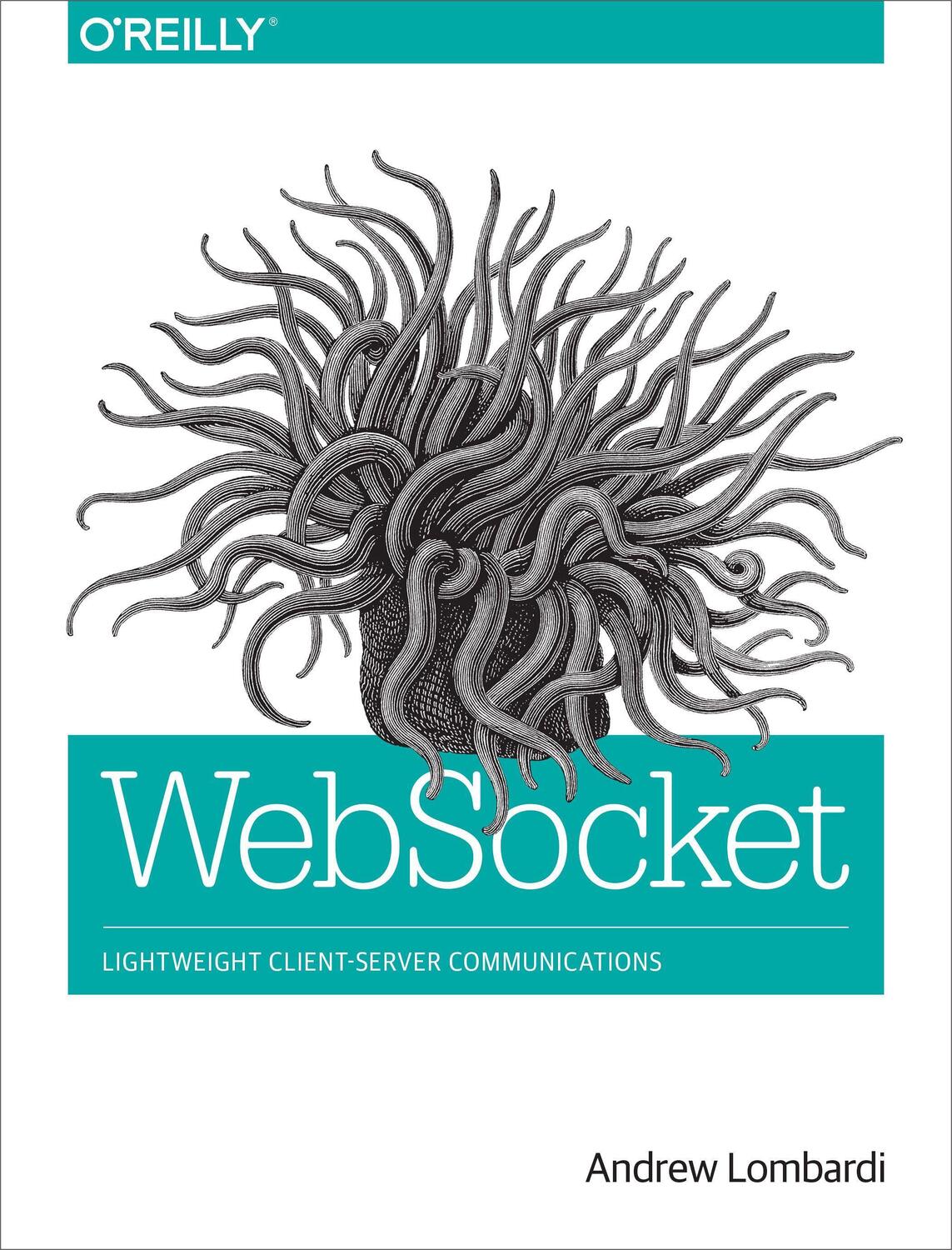Cover: 9781449369279 | WebSocket | Andrew Lombardi | Taschenbuch | Englisch | 2015
