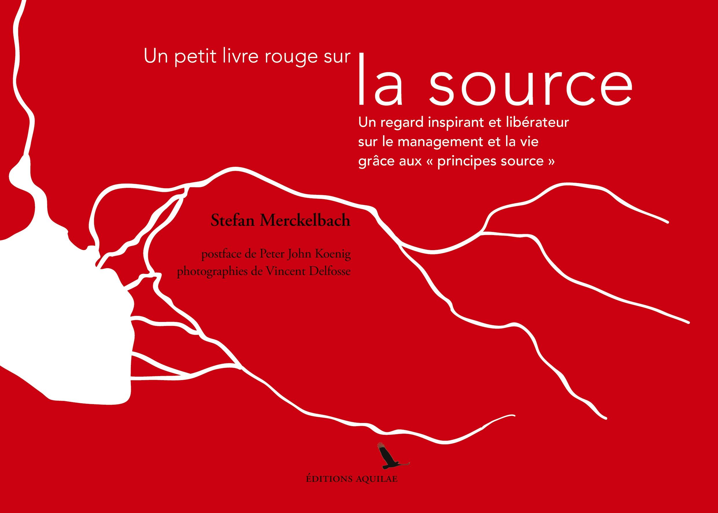 Cover: 9782970108788 | Un petit livre rouge sur la source | Stefan Merckelbach | Taschenbuch