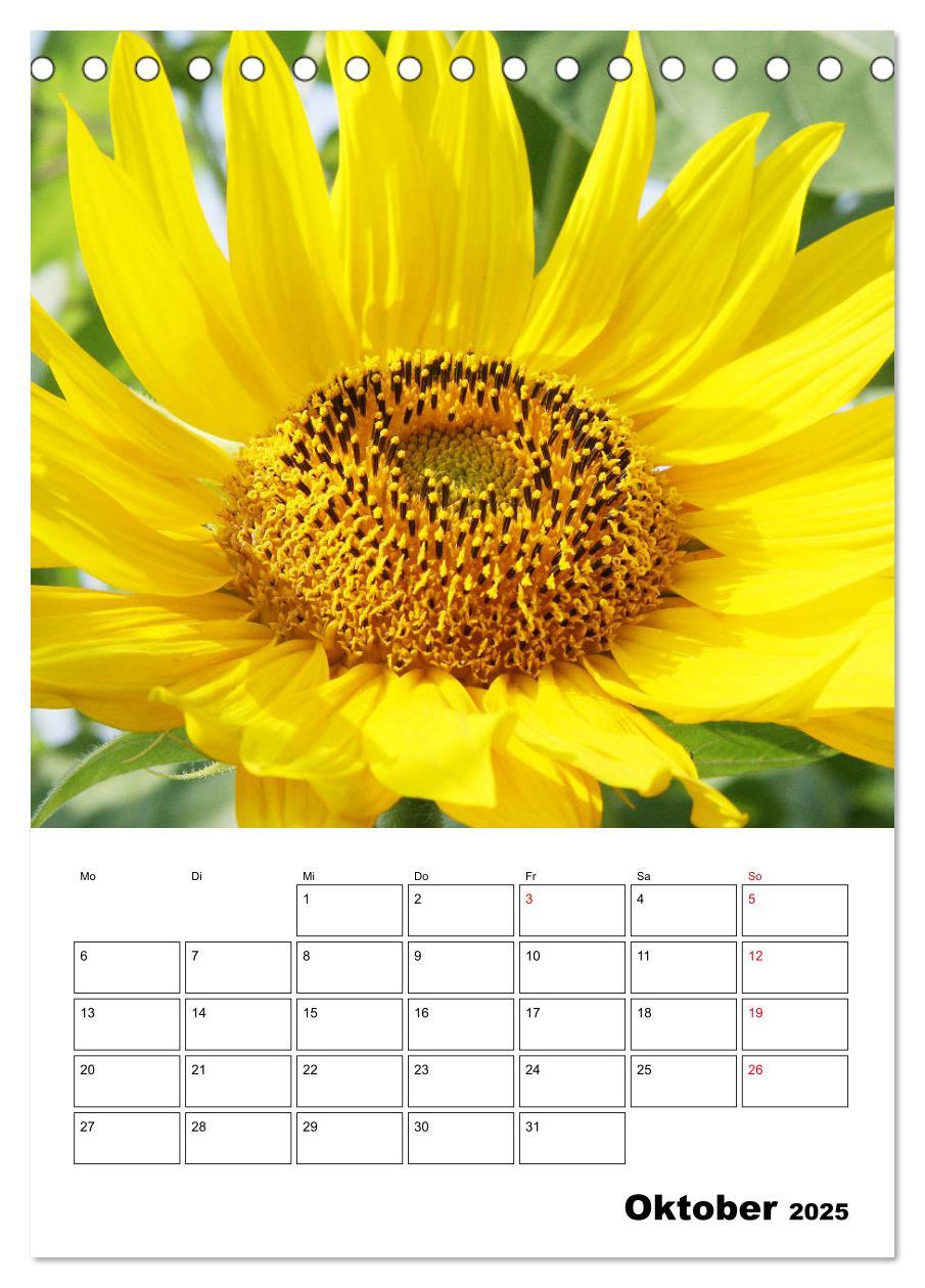 Bild: 9783435969807 | Leuchtende Sonnenblumen (Tischkalender 2025 DIN A5 hoch), CALVENDO...