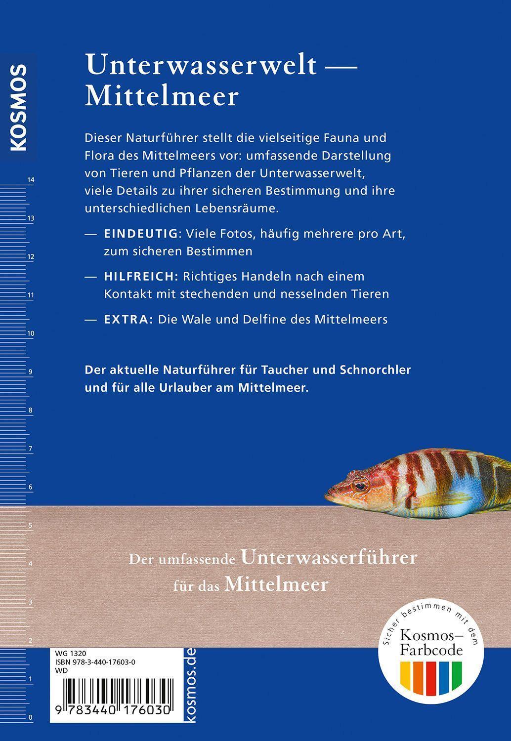 Bild: 9783440176030 | Was lebt im Mittelmeer? | Matthias Bergbauer (u. a.) | Taschenbuch