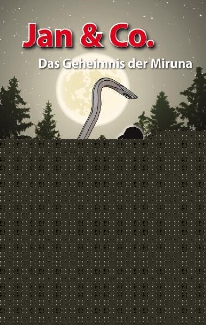 Cover: 9783037830109 | Jan &amp; Co. - Das Geheimnis der Miruna | David Hollenstein | Buch | 2010