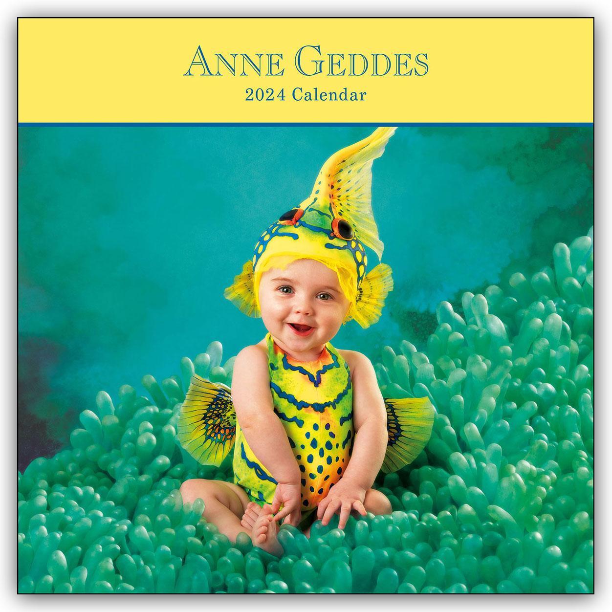 Cover: 9781524879983 | Anne Geddes 2024 Wall Calendar | Anne Geddes | Kalender | 14 S. | 2024
