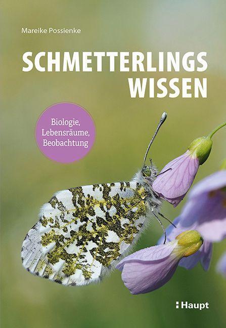 Cover: 9783258083582 | Schmetterlingswissen | Biologie, Lebensräume, Beobachtung | Possienke