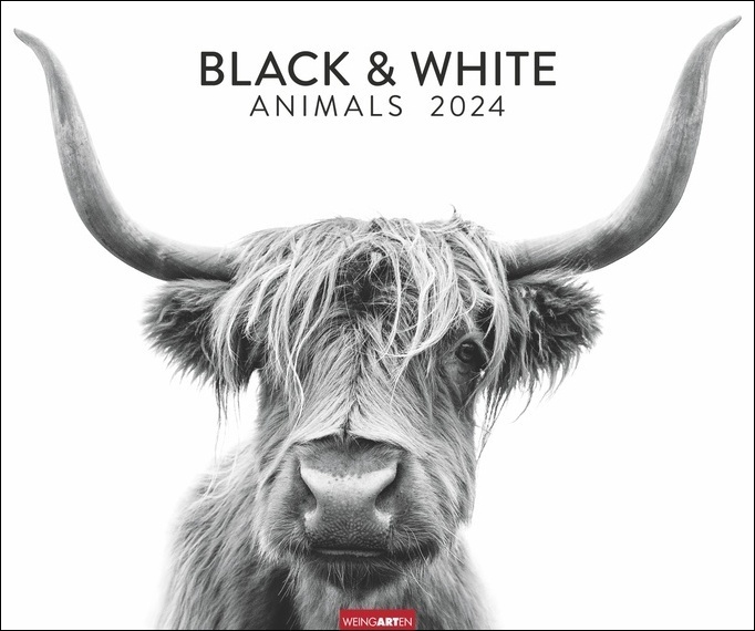 Cover: 9783840085789 | Black &amp; White Animals 2024. Stars der Tierwelt in einem...