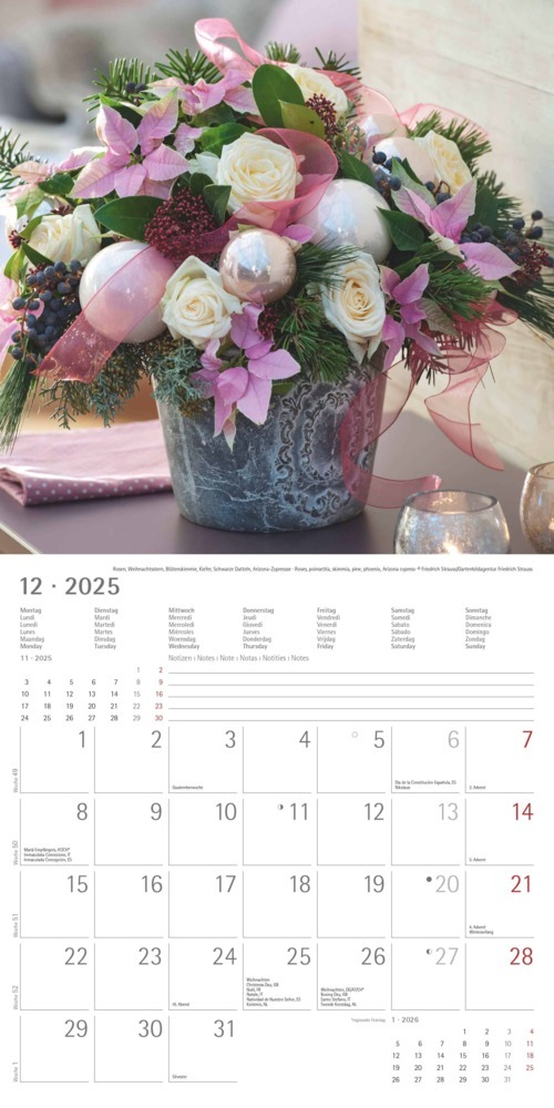 Bild: 4251732340612 | Blumen 2025 - Broschürenkalender 30x30 cm (30x60 geöffnet) -...