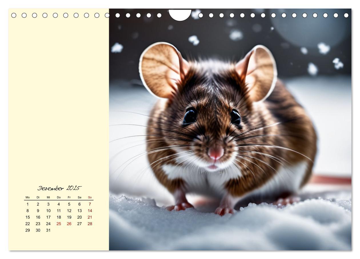 Bild: 9783457148594 | Goldige Mäuse im Grünen (Wandkalender 2025 DIN A4 quer), CALVENDO...