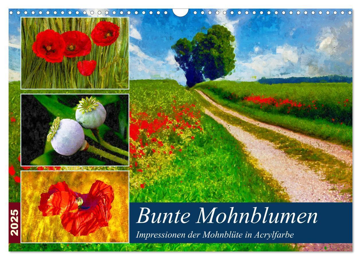 Cover: 9783383983825 | Bunte Mohnblumen - Impressionen der Mohnblüte in Acrylfarbe...