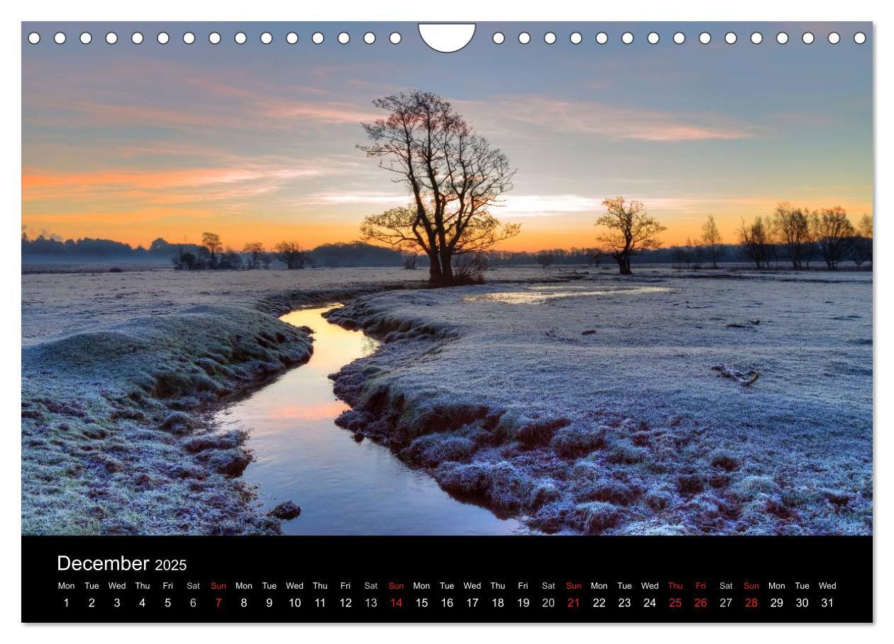 Bild: 9781325951833 | New Forest Hampshire (Wall Calendar 2025 DIN A4 landscape),...