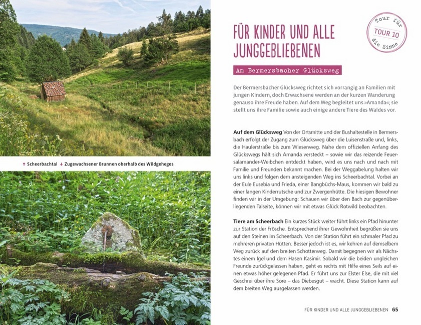 Bild: 9783734313738 | Einfach glücklich wandern - nördlicher Schwarzwald | Taschenbuch