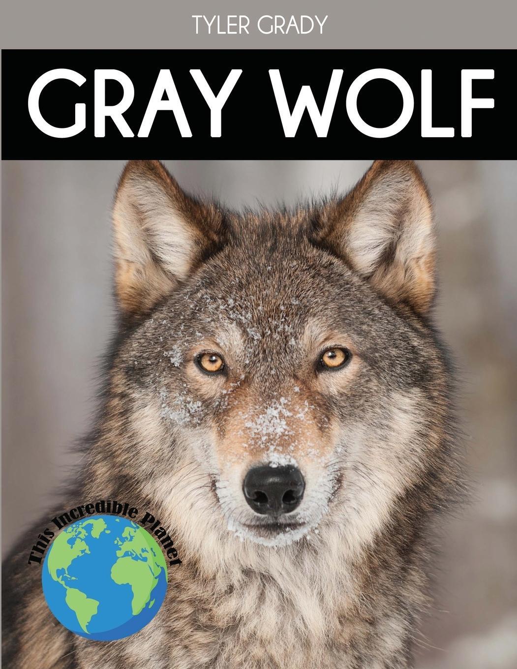 Cover: 9781647900922 | Gray Wolf | Fascinating Animal Facts for Kids | Tyler Grady | Buch